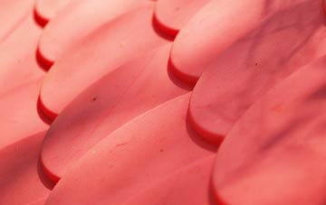 Canholes plastic roof costs